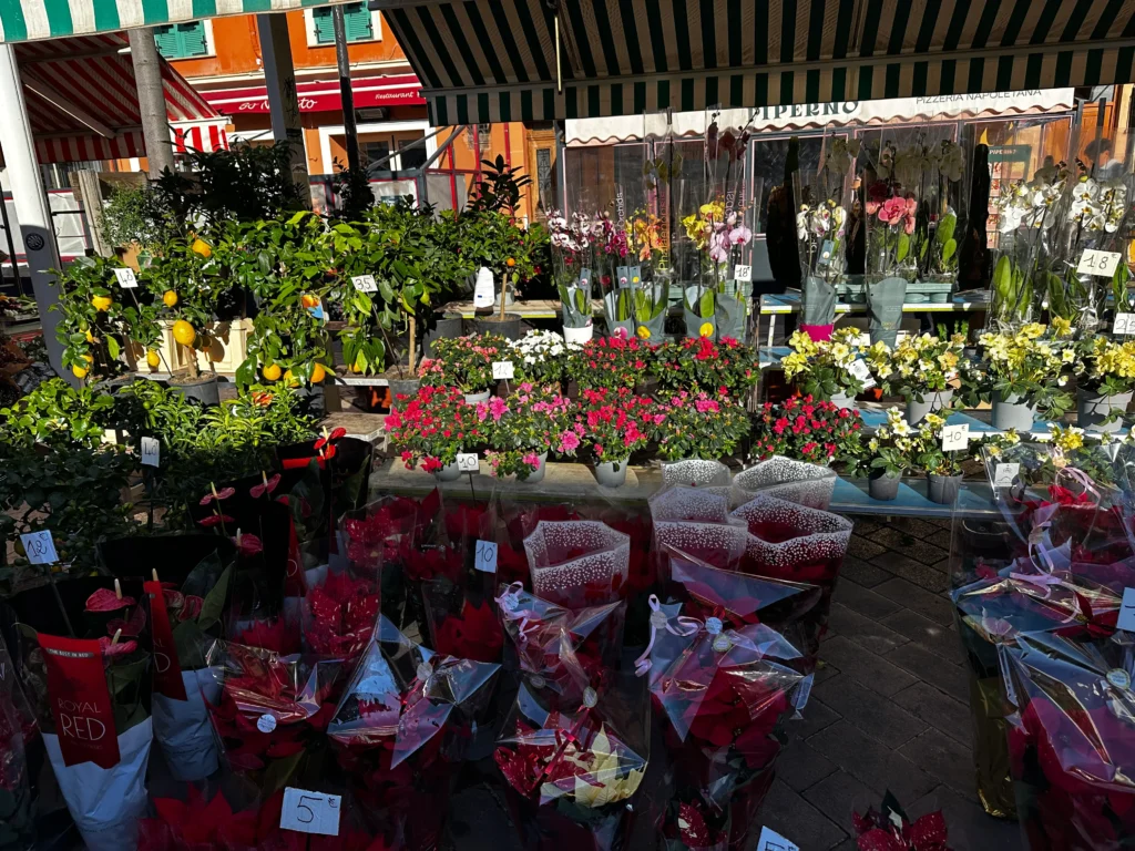 Cours Saleya Flower Market