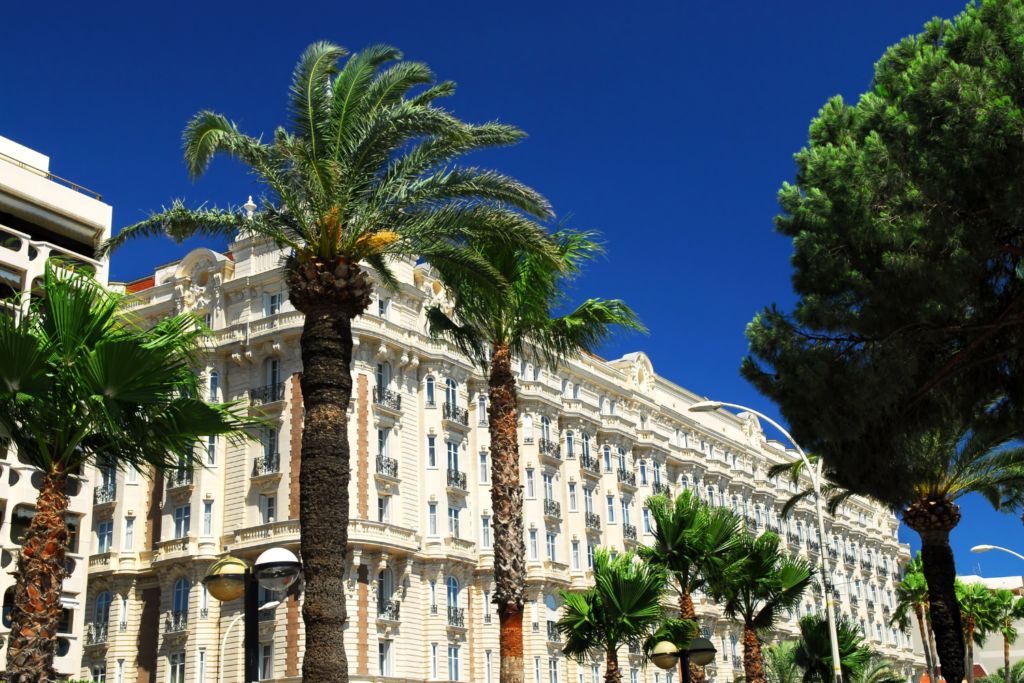 airport cannes chauffeur luxotica